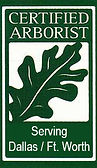 Certified Arborist providing expert tree care and diagnosis in Dallas Fort Worth TX