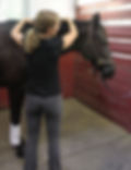Bryony with Horse.jpg
