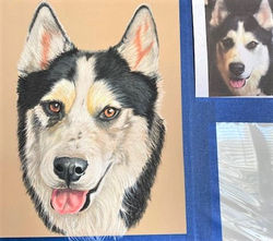 8x10 Husky2 3