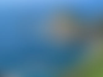 Location Location Location