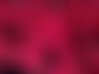 Crecen 29,46% las exportaciones colombianas de poinsettias entre enero y octubre de 2020