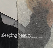 Meike Bal Sleeping Beauty A One-Artist Dictionary.jpg