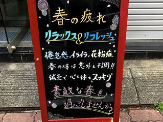 春めいてまいりました!