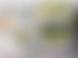 和輪話クラブ 第113刊