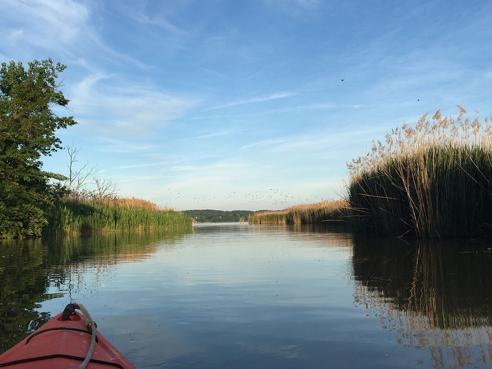 Kayaking