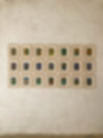 Thumbnail: Trace Fossil 7