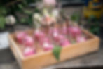 Cocktail, buffet traiteur, champêtre, château Oise, Mariage, Wedding, reportage