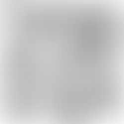 Um ano inteiro - dia 167