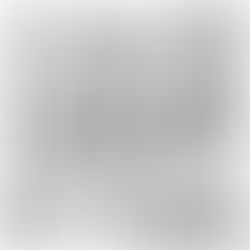 Um ano inteiro - dia 189