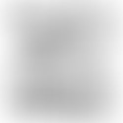 Um ano inteiro - dia 165