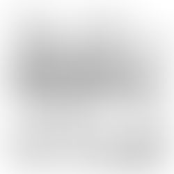 Um ano inteiro - dia