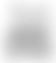 Um ano inteiro - dia 50