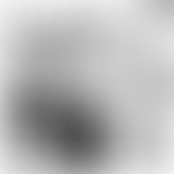 Um ano inteiro - dia 297