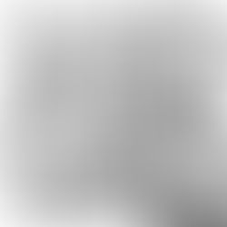 Um ano inteiro - dia 190