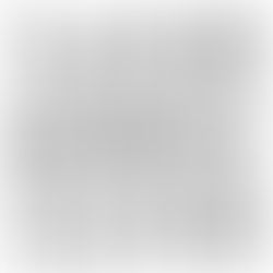 Um ano inteiro - dia 230