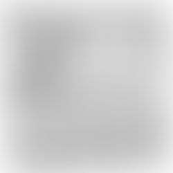 Um ano inteiro - dia 292