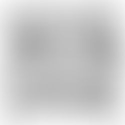 Um ano inteiro - dia 159