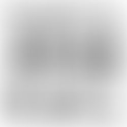 Um ano inteiro - dia 207