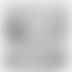 Um ano inteiro - dia 201