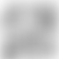 Um ano inteiro - dia 300