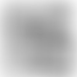 Um ano inteiro - dia 204