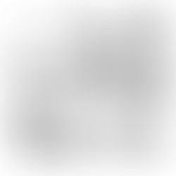 Um ano inteiro - dia 184