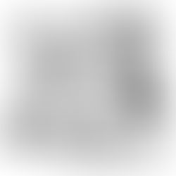 Um ano inteiro - dia 160