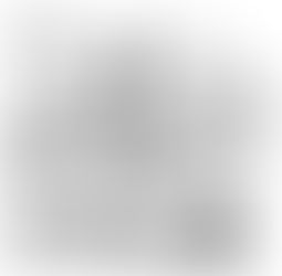 Um ano inteiro - dia 108