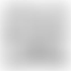 Um ano inteiro - dia 171