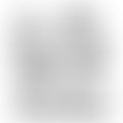 Um ano inteiro - dia 93