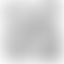 Um ano inteiro - dia 169