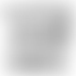 Um ano inteiro - dia 156