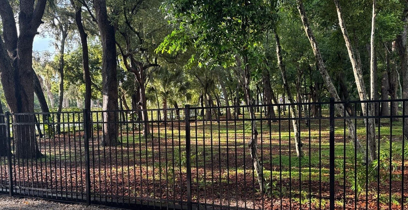 Black metal fence surrounding a lush wooded area.