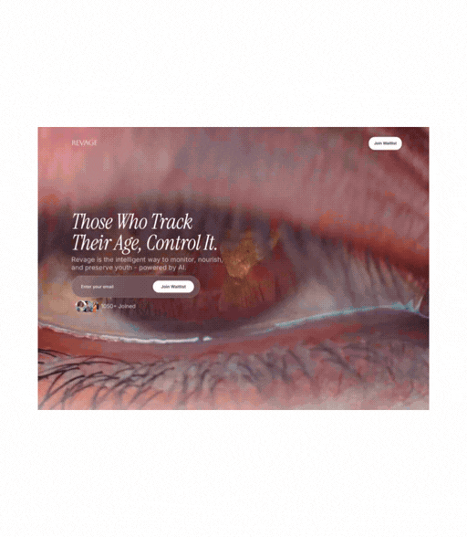 Untitled design (27).gif