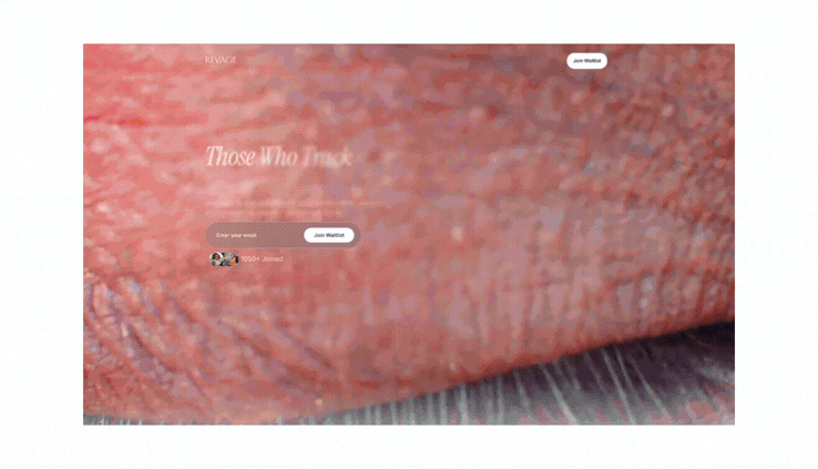 Untitled design (2).gif