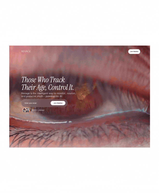 Untitled design (26).gif