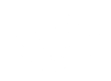 Untitled%20design%20(3)_edited.png