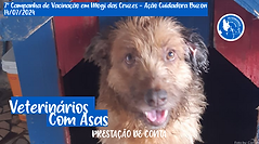 020 - Prestação de contas - 7º Campanha de Vacinação em Mogi das Cruzes - Ação Cuidadora