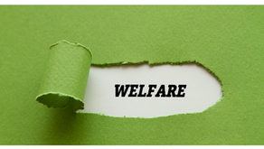 PARTECIPAZIONE E WELFARE DI PROSSIMITA’