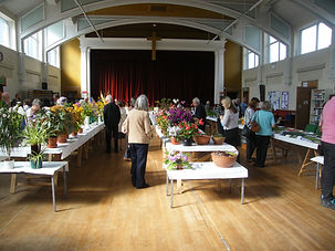 DSCF3463.JPG