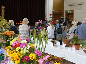 DSCF4030.JPG