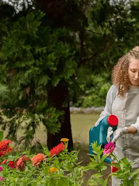 Discovering The Most Fragrant Blooms