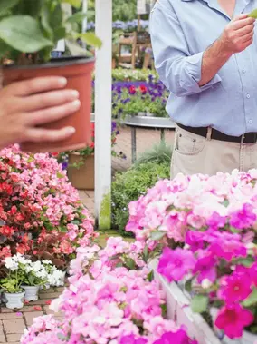 Your Guide For Flower Shops & Services