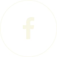 footer-social-media