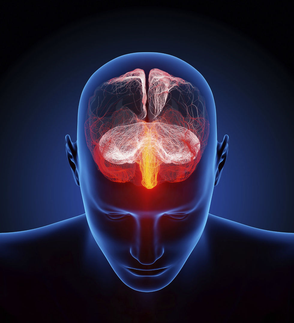 26052015-cerebro-mapa-hospital-del-mar.jpg