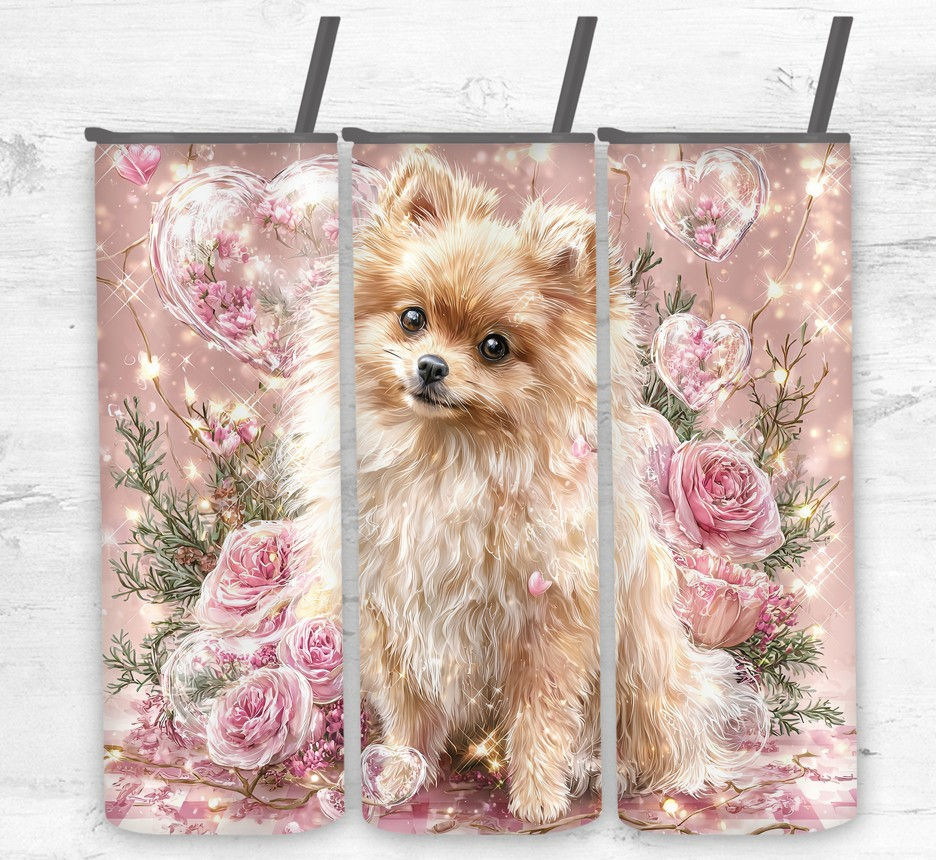 Pomeranian
