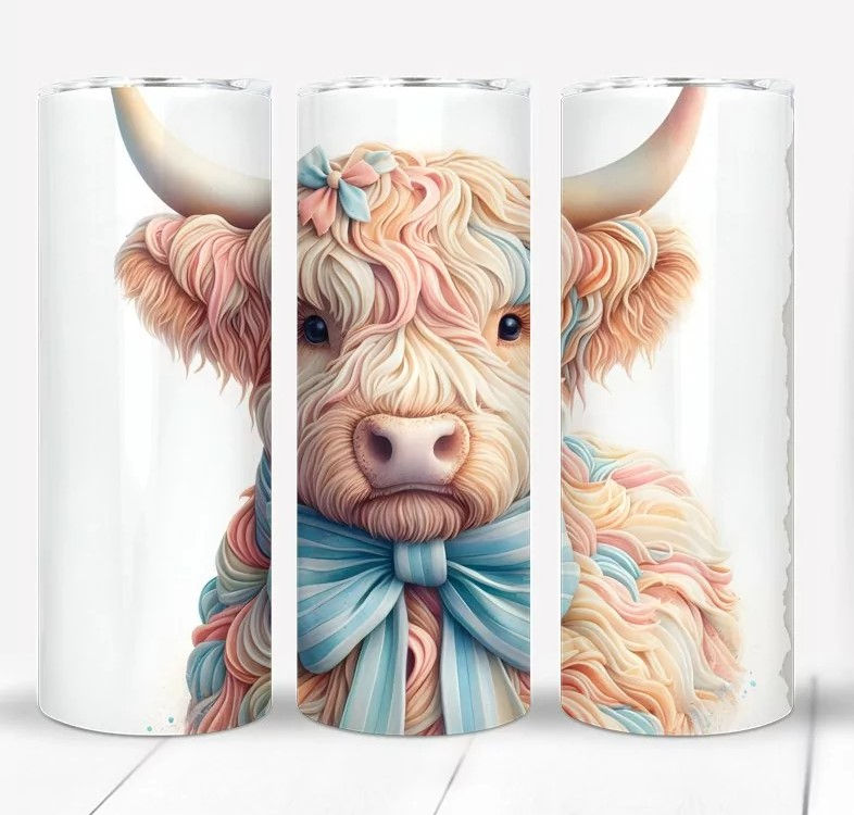 Highland Cow