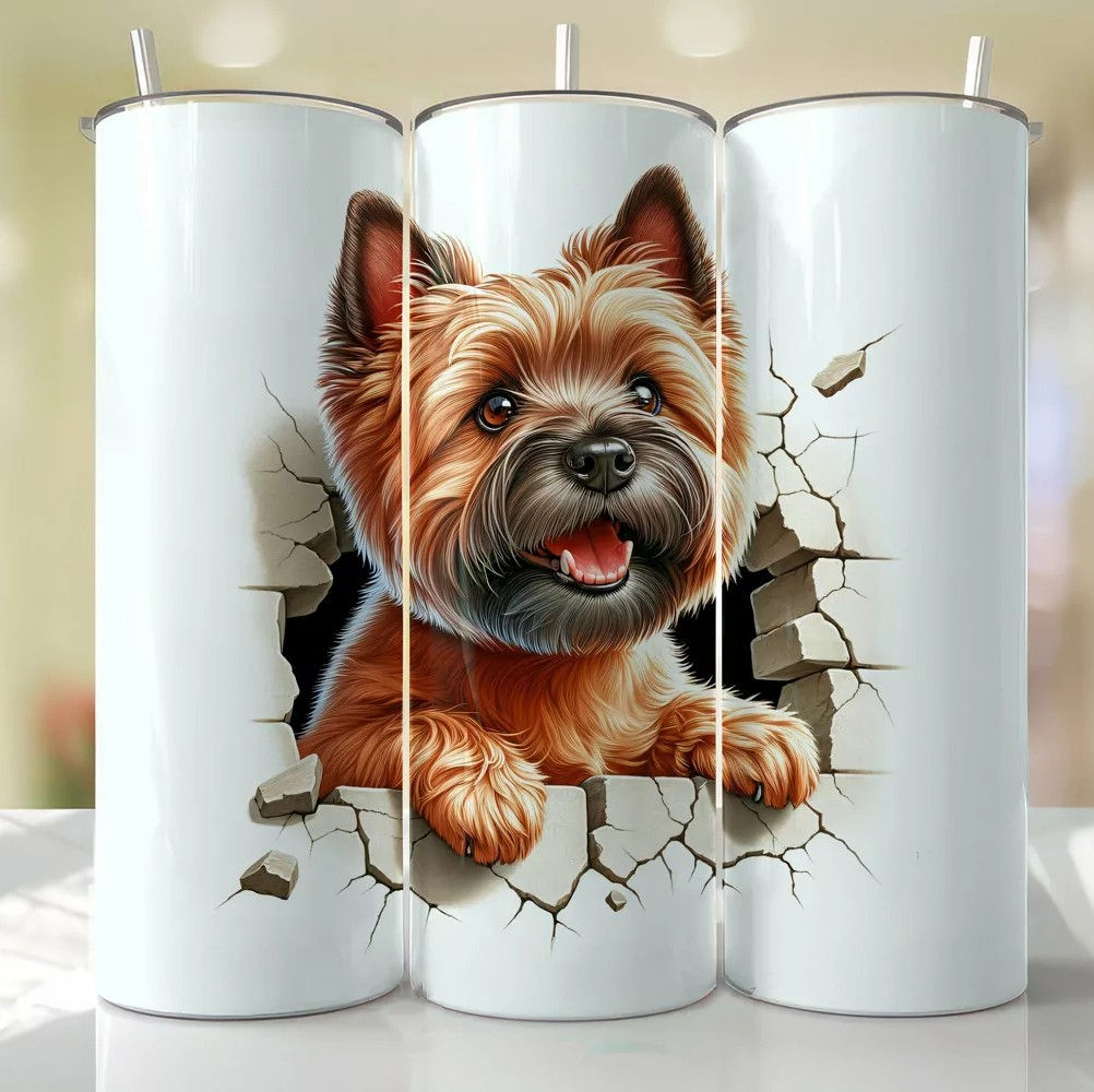 Cairn Terrier Peeking from the Cracked wall