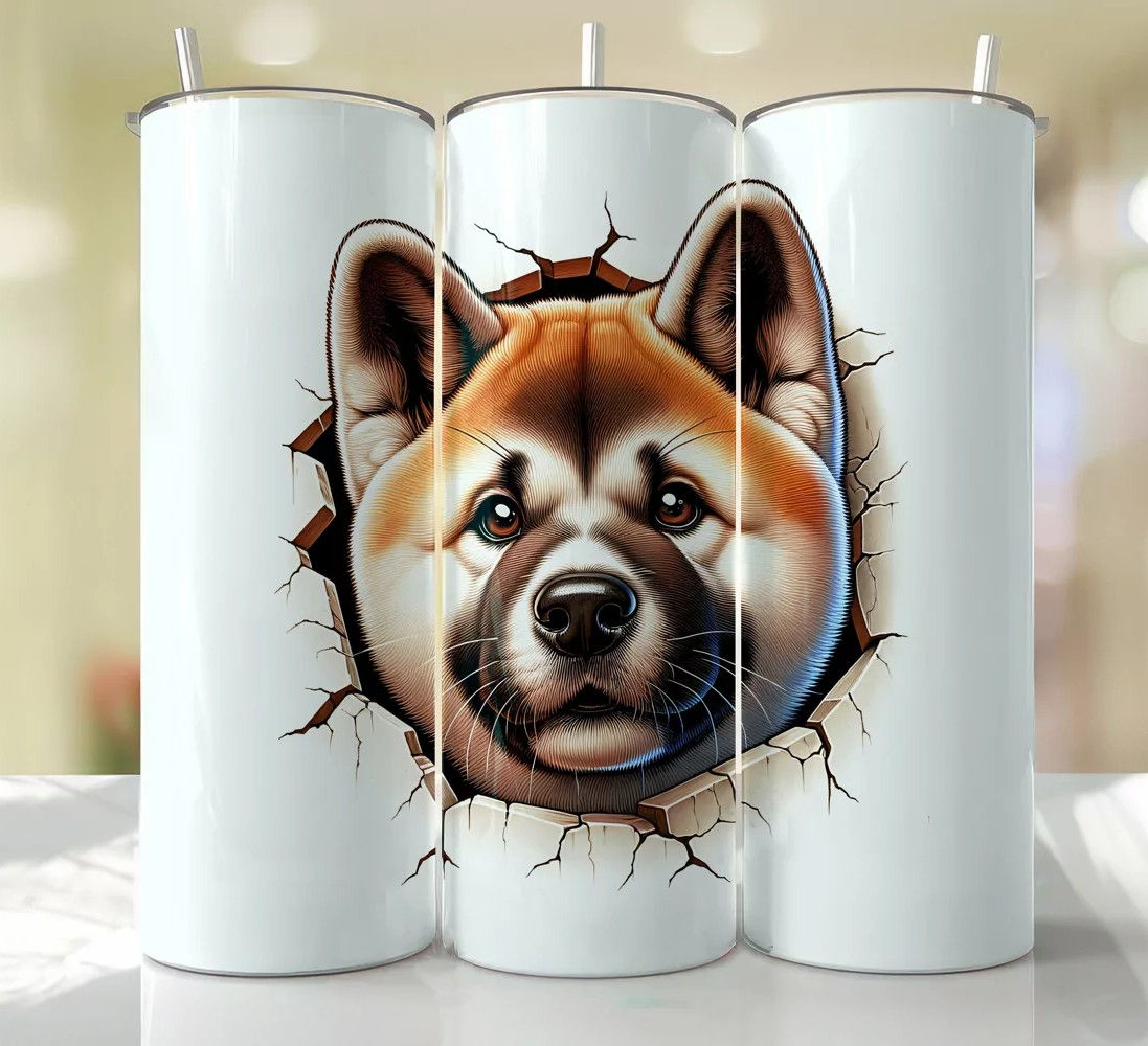 Akita Peeking from the Cracked wall