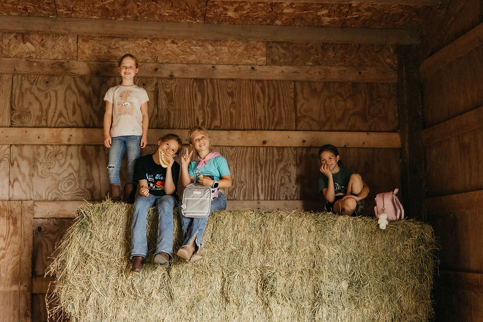 Young Horseman/woman experience